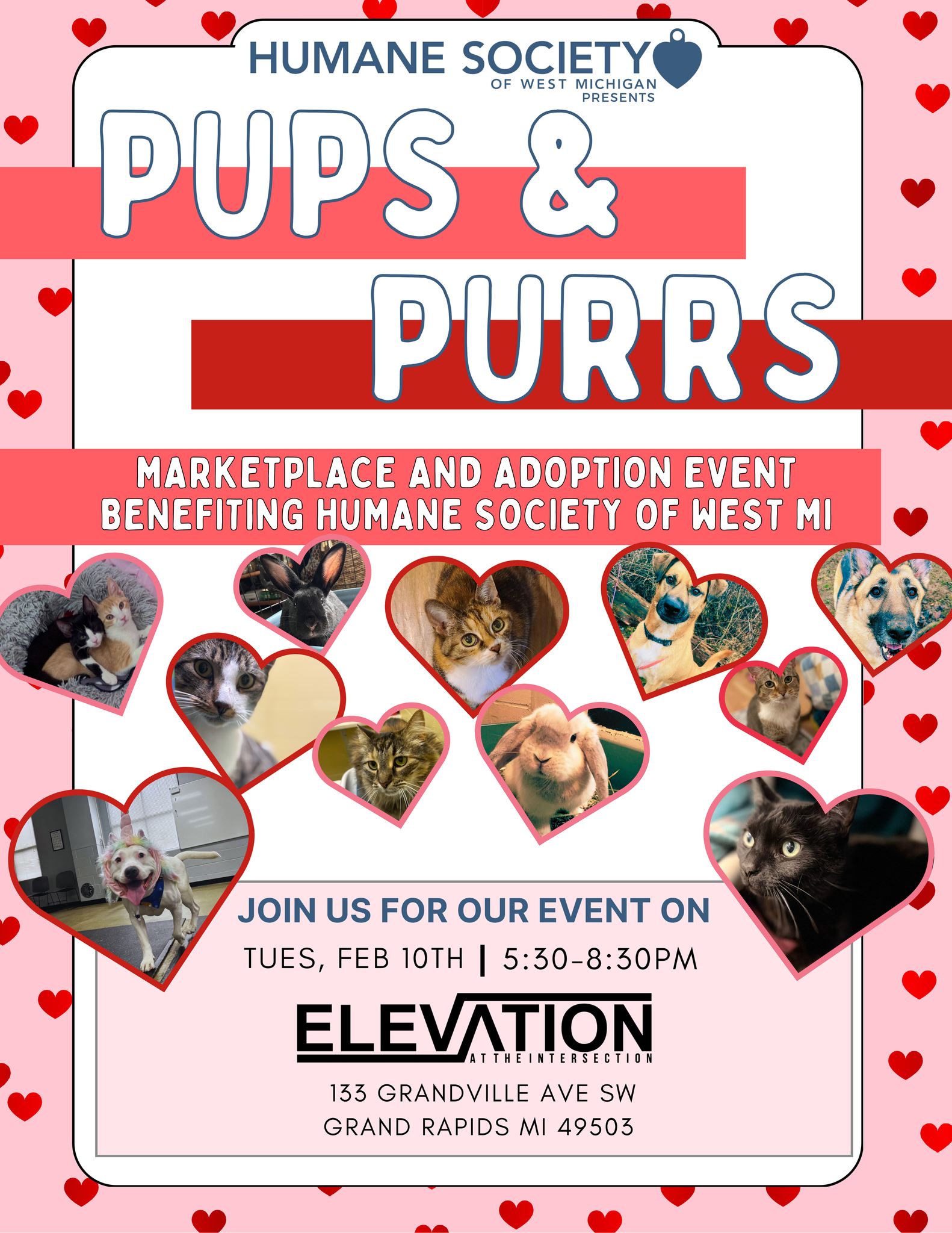 Pups & Purrs Marketplace and Adoption Event 2026